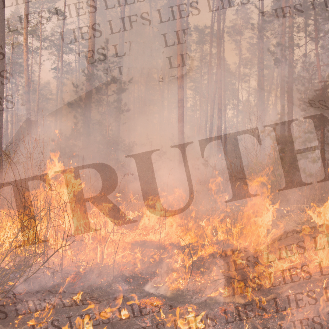 Burning Truth: How Lies and Partisanship Are Failing California’s Wildfire Victims.